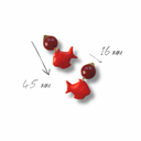 Ohrringe Hella No.15