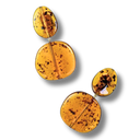 Ohrring Amber No.10